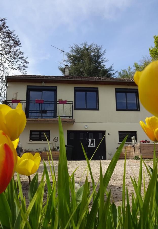 Chez Flo Et Marc Apartment Chouzy-sur-Cisse Exterior photo